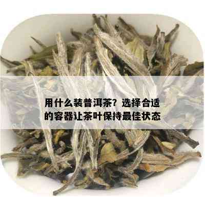 用什么装普洱茶？选择合适的容器让茶叶保持更佳状态