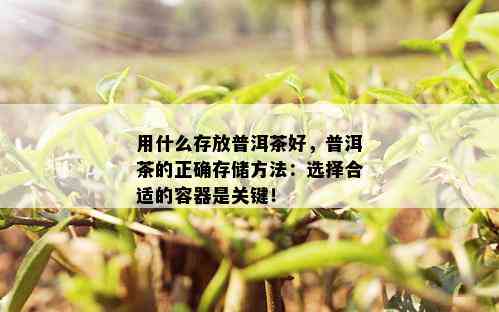 用什么存放普洱茶好，普洱茶的正确存储方法：选择合适的容器是关键！