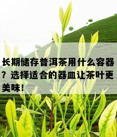 长期储存普洱茶用什么容器？选择适合的器皿让茶叶更美味！