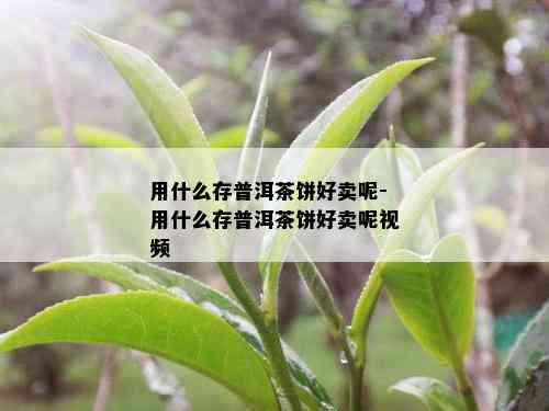 用什么存普洱茶饼好卖呢-用什么存普洱茶饼好卖呢视频