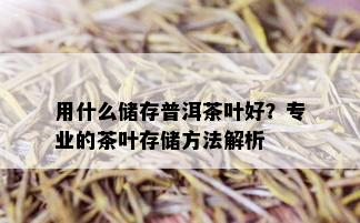 用什么储存普洱茶叶好？专业的茶叶存储方法解析