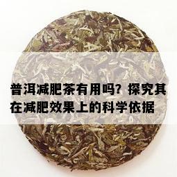 普洱减肥茶有用吗？探究其在减肥效果上的科学依据