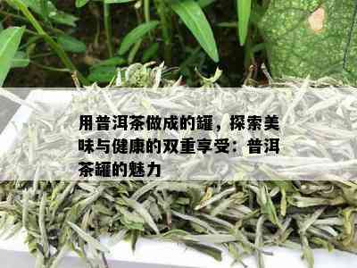 用普洱茶做成的罐，探索美味与健康的双重享受：普洱茶罐的魅力