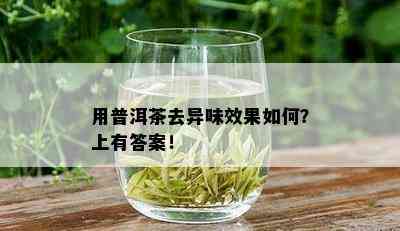 用普洱茶去异味效果如何？上有答案！