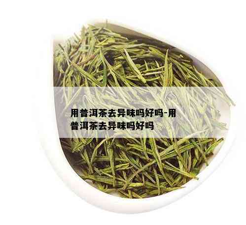 用普洱茶去异味吗好吗-用普洱茶去异味吗好吗