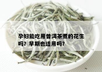 孕妇能吃用普洱茶煮的花生吗？早期也适用吗？