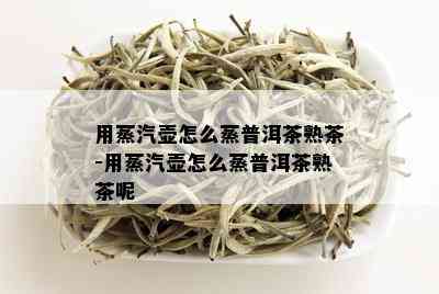 用蒸汽壶怎么蒸普洱茶熟茶-用蒸汽壶怎么蒸普洱茶熟茶呢