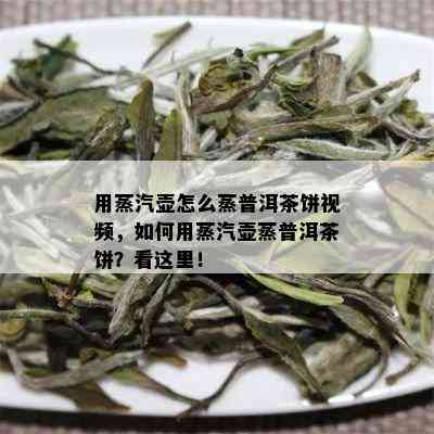 用蒸汽壶怎么蒸普洱茶饼视频，如何用蒸汽壶蒸普洱茶饼？看这里！