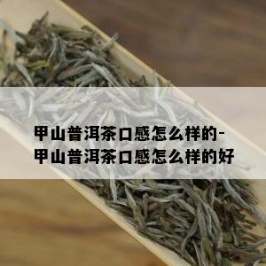 甲山普洱茶口感怎么样的-甲山普洱茶口感怎么样的好