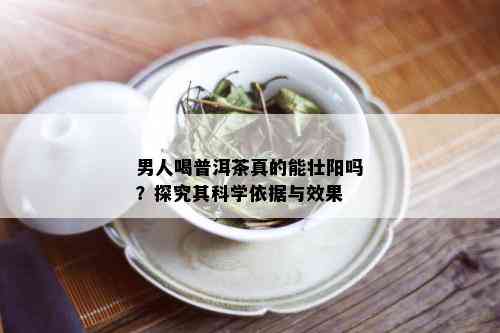 男人喝普洱茶真的能壮阳吗？探究其科学依据与效果