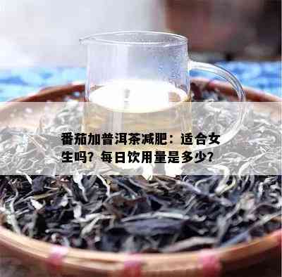 番茄加普洱茶减肥：适合女生吗？每日饮用量是多少？