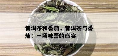 普洱茶和番茄，普洱茶与番茄：一场味蕾的盛宴