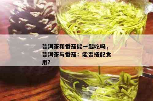 普洱茶和番茄能一起吃吗，普洱茶与番茄：能否搭配食用？