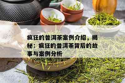 疯狂的普洱茶案例介绍，揭秘：疯狂的普洱茶背后的故事与案例分析