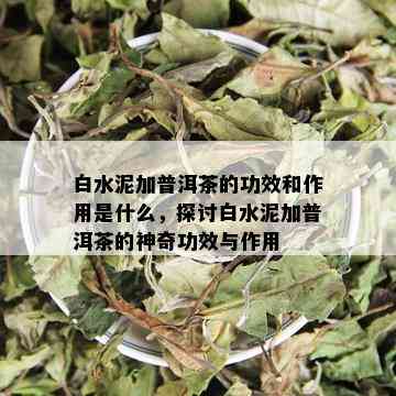 白水泥加普洱茶的功效和作用是什么，探讨白水泥加普洱茶的神奇功效与作用