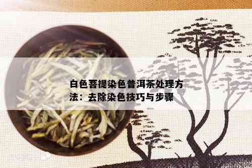 白色菩提染色普洱茶处理方法：去除染色技巧与步骤