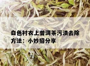 白色衬衣上普洱茶污渍去除方法：小妙招分享