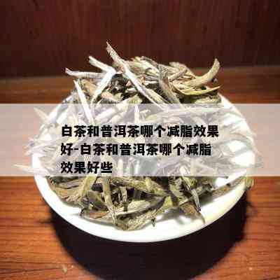 白茶和普洱茶哪个减脂效果好-白茶和普洱茶哪个减脂效果好些