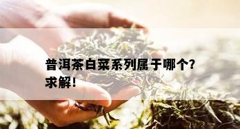 普洱茶白菜系列属于哪个？求解！