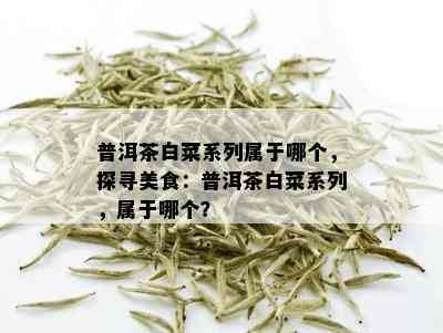 普洱茶白菜系列属于哪个，探寻美食：普洱茶白菜系列，属于哪个？