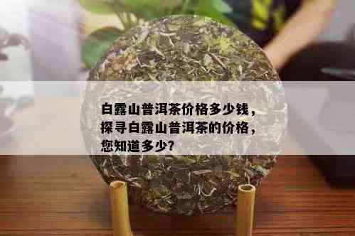 白露山普洱茶价格多少钱，探寻白露山普洱茶的价格，您知道多少？