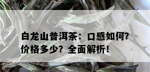 白龙山普洱茶：口感如何？价格多少？全面解析！