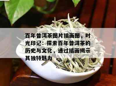 百年普洱茶图片插画图，时光印记：探索百年普洱茶的历史与文化，通过插画揭示其独特魅力