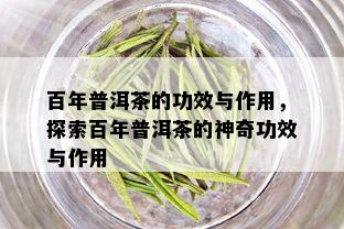 百年普洱茶的功效与作用，探索百年普洱茶的神奇功效与作用