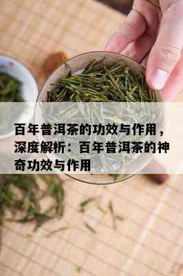 百年普洱茶的功效与作用，深度解析：百年普洱茶的神奇功效与作用