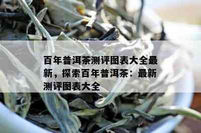 百年普洱茶测评图表大全最新，探索百年普洱茶：最新测评图表大全