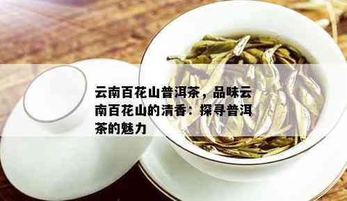 云南百花山普洱茶，品味云南百花山的清香：探寻普洱茶的魅力