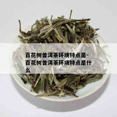 百花树普洱茶环境特点是-百花树普洱茶环境特点是什么