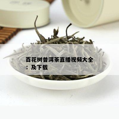 百花树普洱茶直播视频大全：及下载