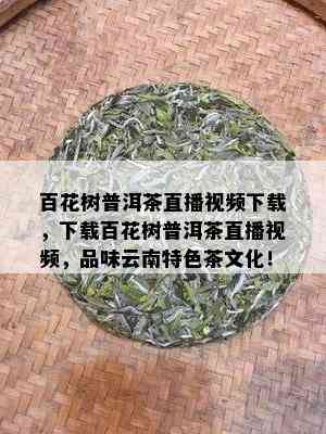 百花树普洱茶直播视频下载，下载百花树普洱茶直播视频，品味云南特色茶文化！