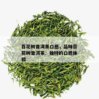 百花树普洱茶口感，品味百花树普洱茶：独特的口感体验