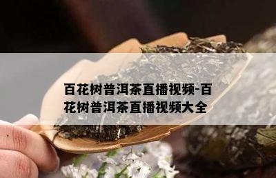 百花树普洱茶直播视频-百花树普洱茶直播视频大全