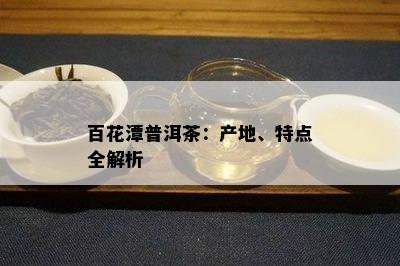 百花潭普洱茶：产地、特点全解析