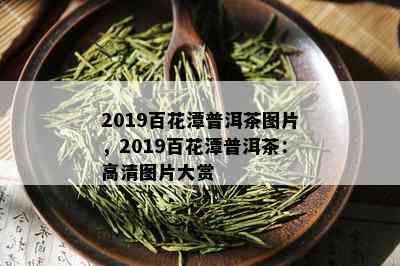 2019百花潭普洱茶图片，2019百花潭普洱茶：高清图片大赏