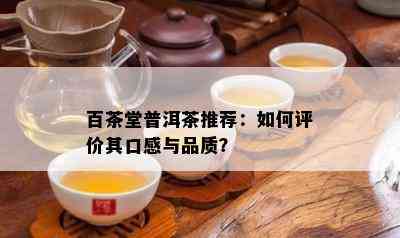 百茶堂普洱茶推荐：如何评价其口感与品质？