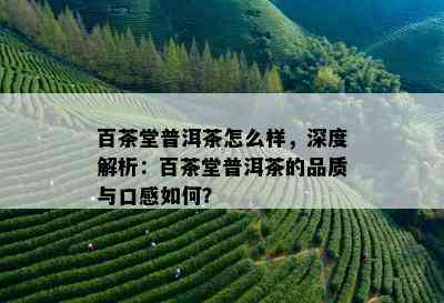 百茶堂普洱茶怎么样，深度解析：百茶堂普洱茶的品质与口感如何？