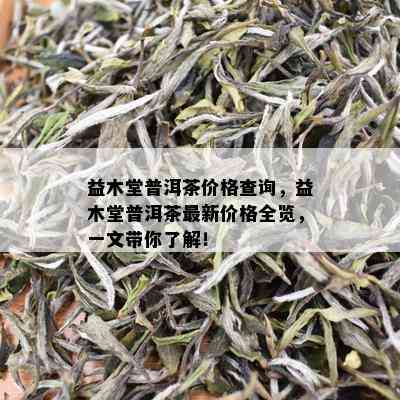 益木堂普洱茶价格查询，益木堂普洱茶最新价格全览，一文带你了解！