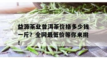 益源茶业普洱茶价格多少钱一斤？全网更低价等你来挑！