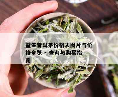 益生普洱茶价格表图片与价格全览 - 查询与购买指南