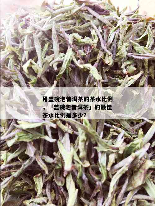 用盖碗泡普洱茶的茶水比例，「盖碗泡普洱茶」的更佳茶水比例是多少？