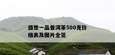 盛世一品普洱茶500克价格表及图片全览