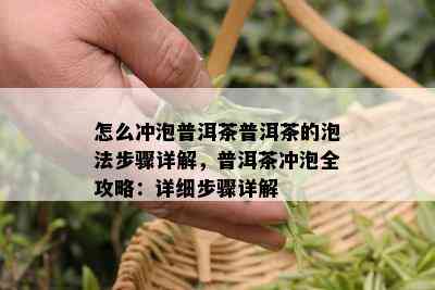 怎么冲泡普洱茶普洱茶的泡法步骤详解，普洱茶冲泡全攻略：详细步骤详解