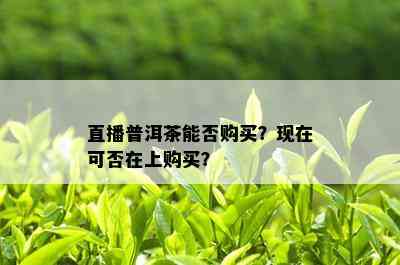 直播普洱茶能否购买？现在可否在上购买？