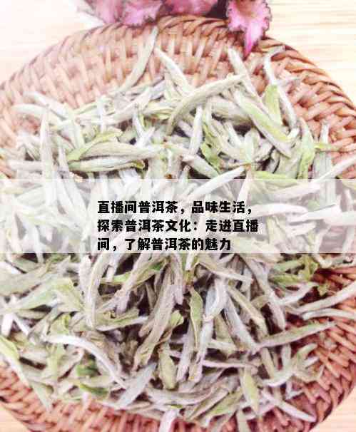 直播间普洱茶，品味生活，探索普洱茶文化：走进直播间，了解普洱茶的魅力