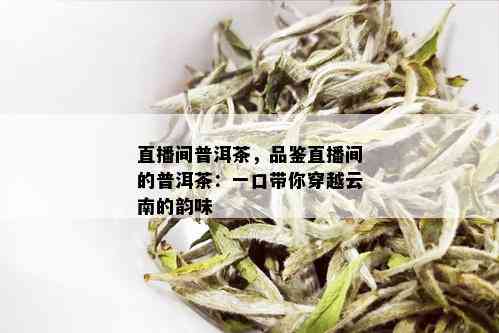 直播间普洱茶，品鉴直播间的普洱茶：一口带你穿越云南的韵味