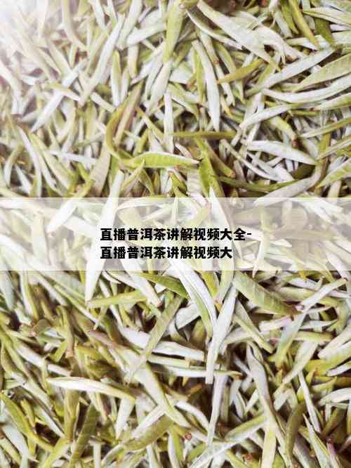 直播普洱茶讲解视频大全-直播普洱茶讲解视频大